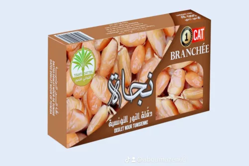 Hk Global Trade 1000051027